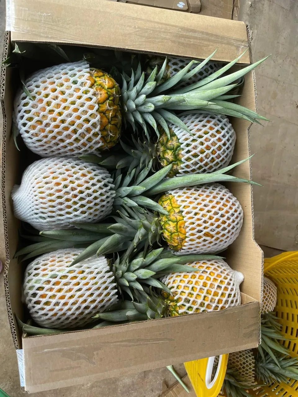 Лидер продаж супер сладкие и сочные золотые ананасы недорогие свежие продукты