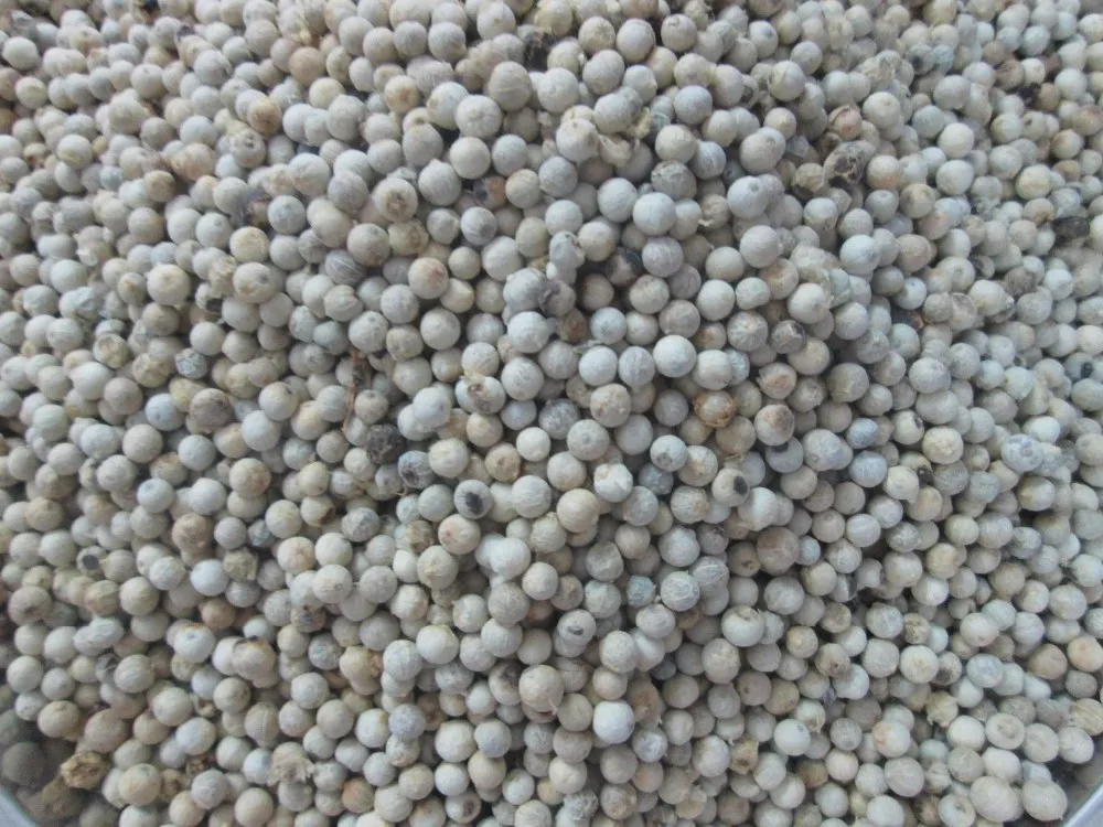 100% raw WHITE PEPPER from Vietnam - KING COFFEE - High quality Best Spices And Best Price With Best Wholesale From Manufacturer