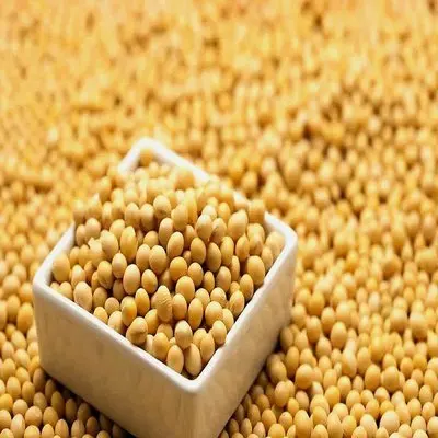 Высококачественные сушеные вакуумные NON-GMO соевые бобы доступные продукты без ГМО желтые