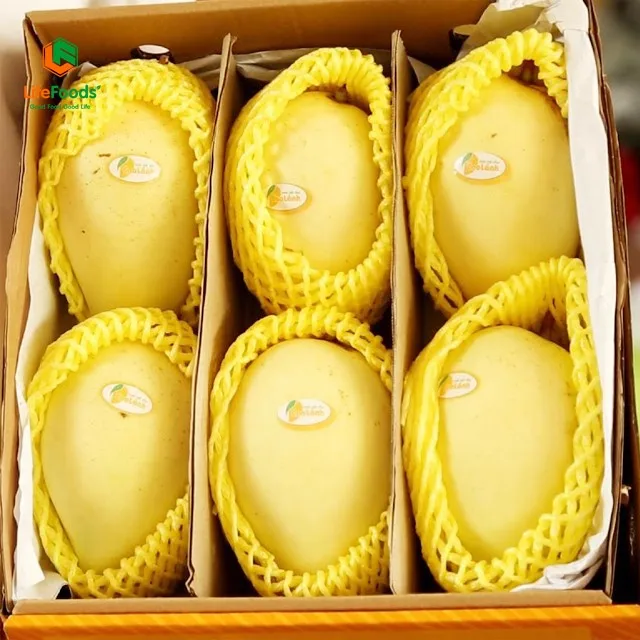 Natural Sweet Common 100% Maturity Delicious HCCP cert package ODM fresh fruit Yellow Cat Chu Mango Lifefoods from Vietnam