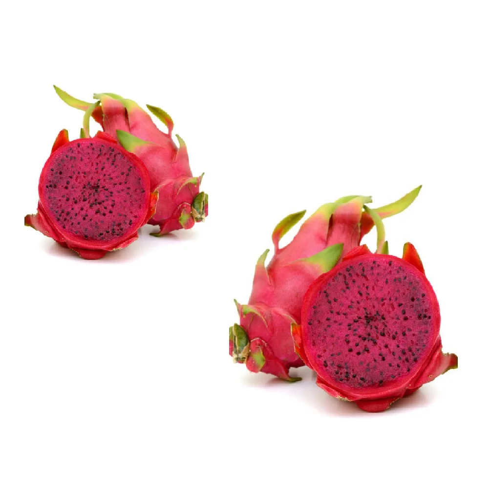 Vietnam Origin Competitive Price Size 450 Gram Red White Natural Fresh Dragon Fruit Export To Japan Market and European Market
