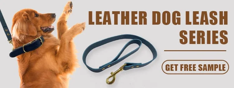 Dog Collar T25 N3L00