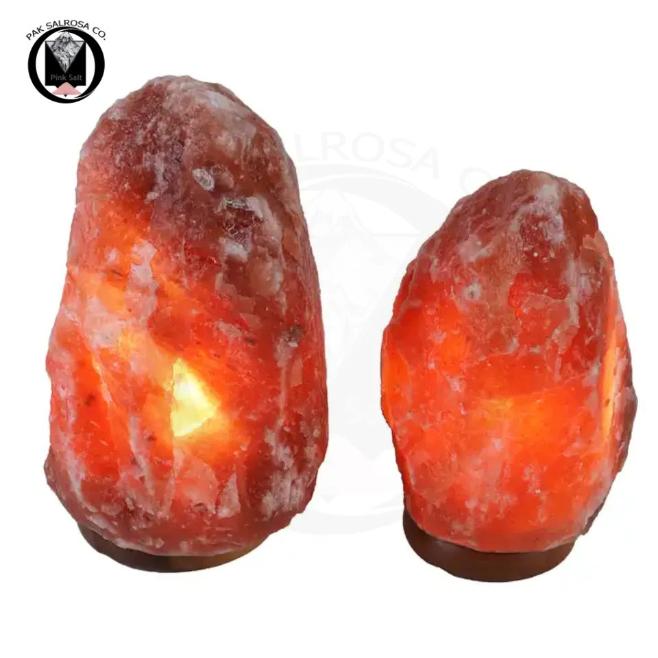 Hand Carved Hot Sale Customized Design USB Wholesale Himalayan Salt Lamps By PAK SALROSA & CO Natural Himalayan Salt Rock Lamp