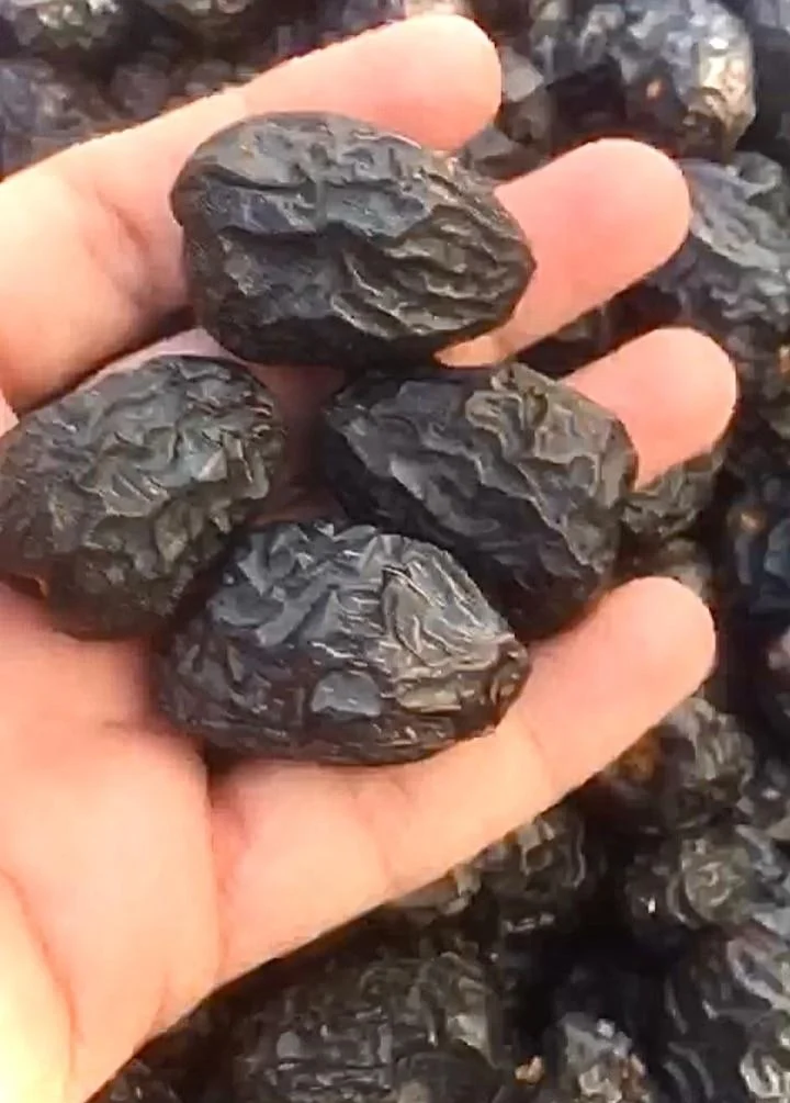 Высококачественные даты Ajwa для продажи напрямую от Allmadenah