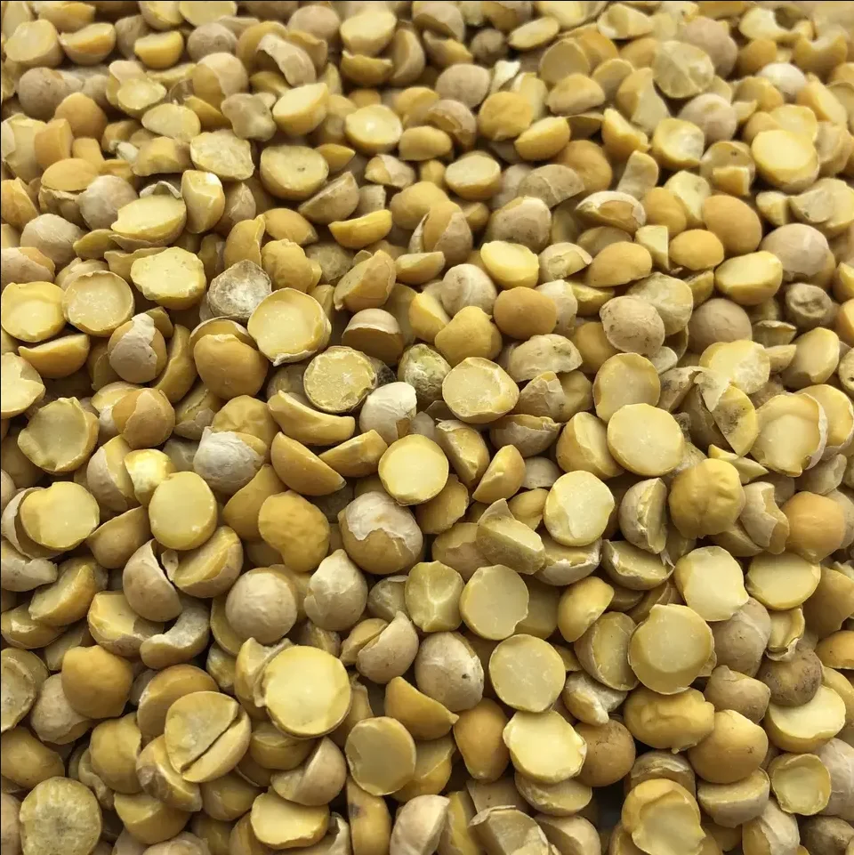 High quality Green Lentils ecological product of France wholesale prices lentils for sale in bulk