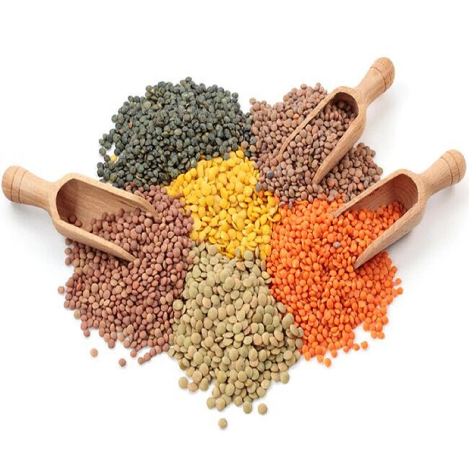 Cheap Sales Organic Bulk Dried Red Green Yellow Lentils From the UK Fresh Whole Pattern for Food