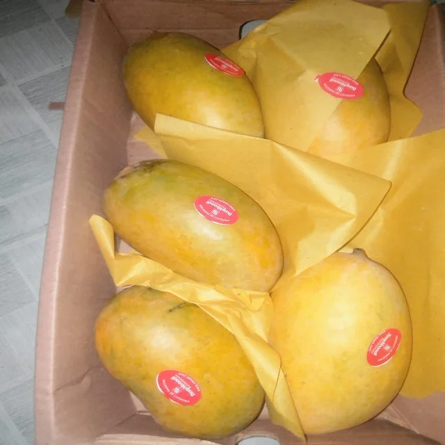 Fresh Chaunsa экспортеры манго в Пакистане желтая тропическая коробка сладкий урожай стиль упаковки цвет вес