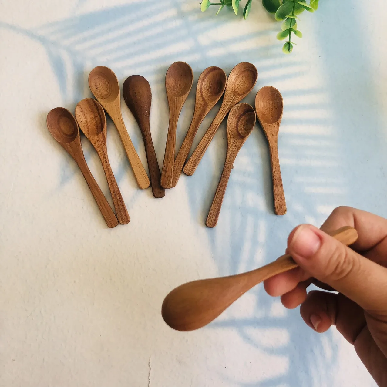 Mini Wooden Spoon Kitchen Spice Spoon Wood Sugar Tea Coffee Scoop Small Short Condiment Spoons Handicraft From Vietnam