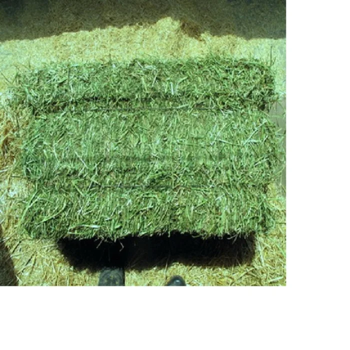 Alfalfa Hay at very cheap price / Quality Rhodes Grass Hay Alfalfa
