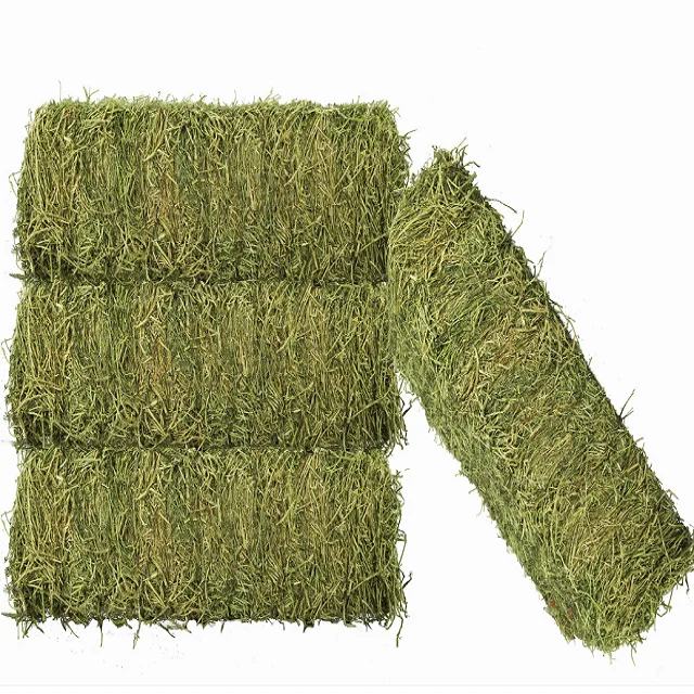 Top Quality Cheap Alfalfa Lucern Hay for Cow Cattle Horse Pets Dairy Farm ready for Export