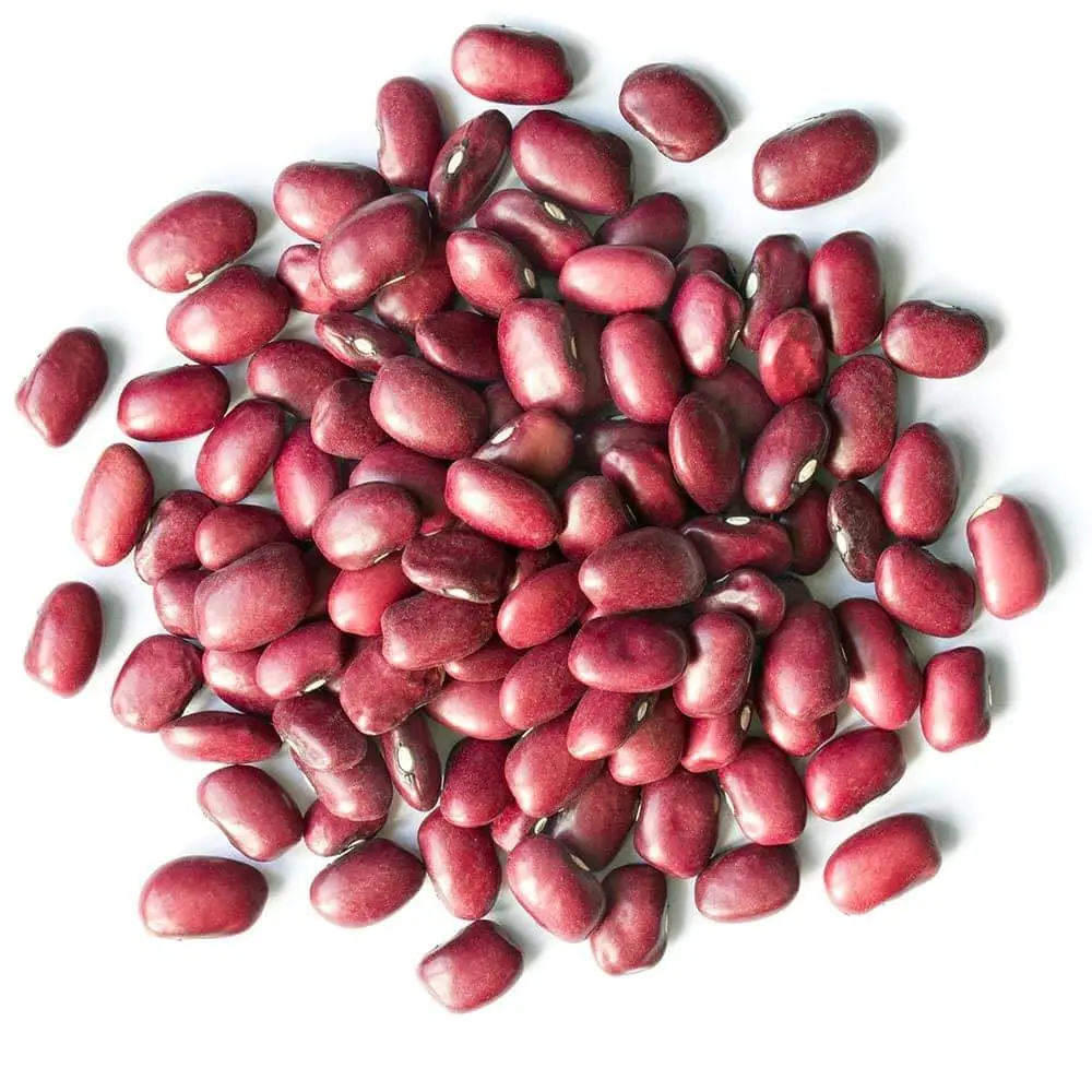 Bulk supply of premium quality Red beans pure organic healthy food grade Red beans for sale now
