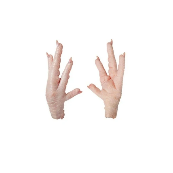 Supplier Halal Frozen Chicken Paws Frozen Chicken for Sale