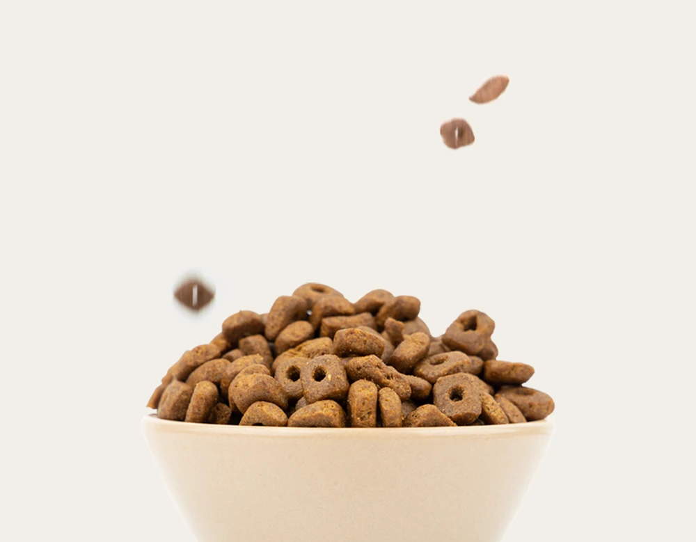 (TEXA BIO)-omegacat лосось 2 кг (человеческий сорт) гидролизованный здоровая кожа формула для кошки Размер 8 мм KOTRA