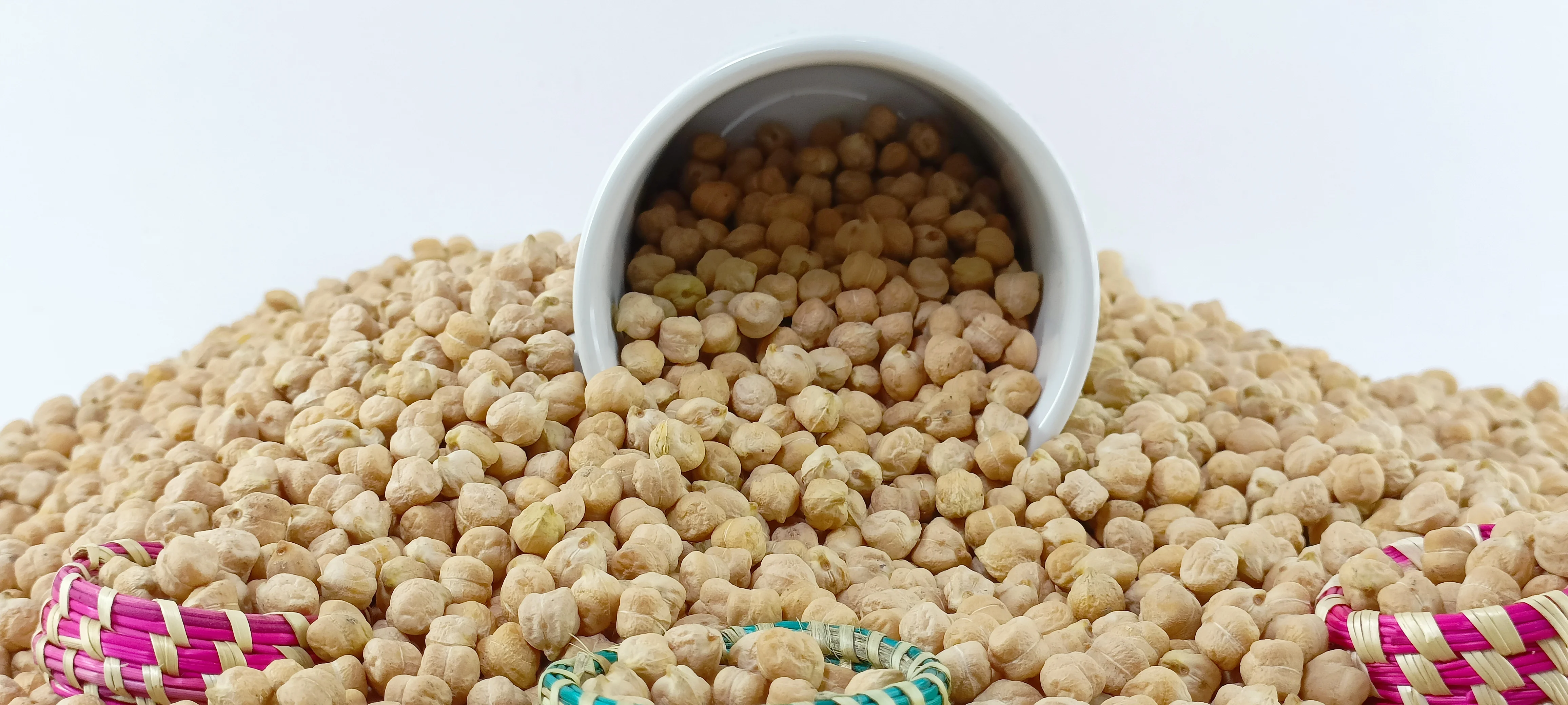 Kabuli Chickpea DP-80