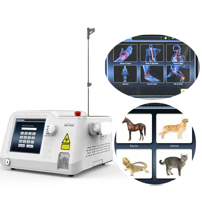 Medical physical therapy laser Class IV therapy diode 980nm laser machine for clinic/Nail fungus treatment onychomycos laser