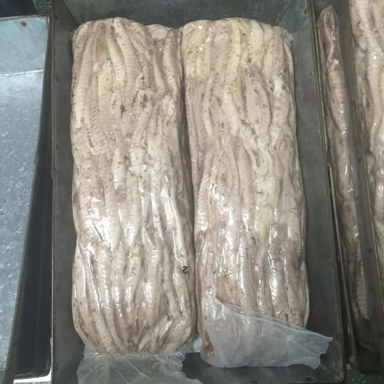 Fillet Part Single Clean Frozen Cooked Tuna Skipjack tuna Loin with flakes 10 Percent precooked tuna loin