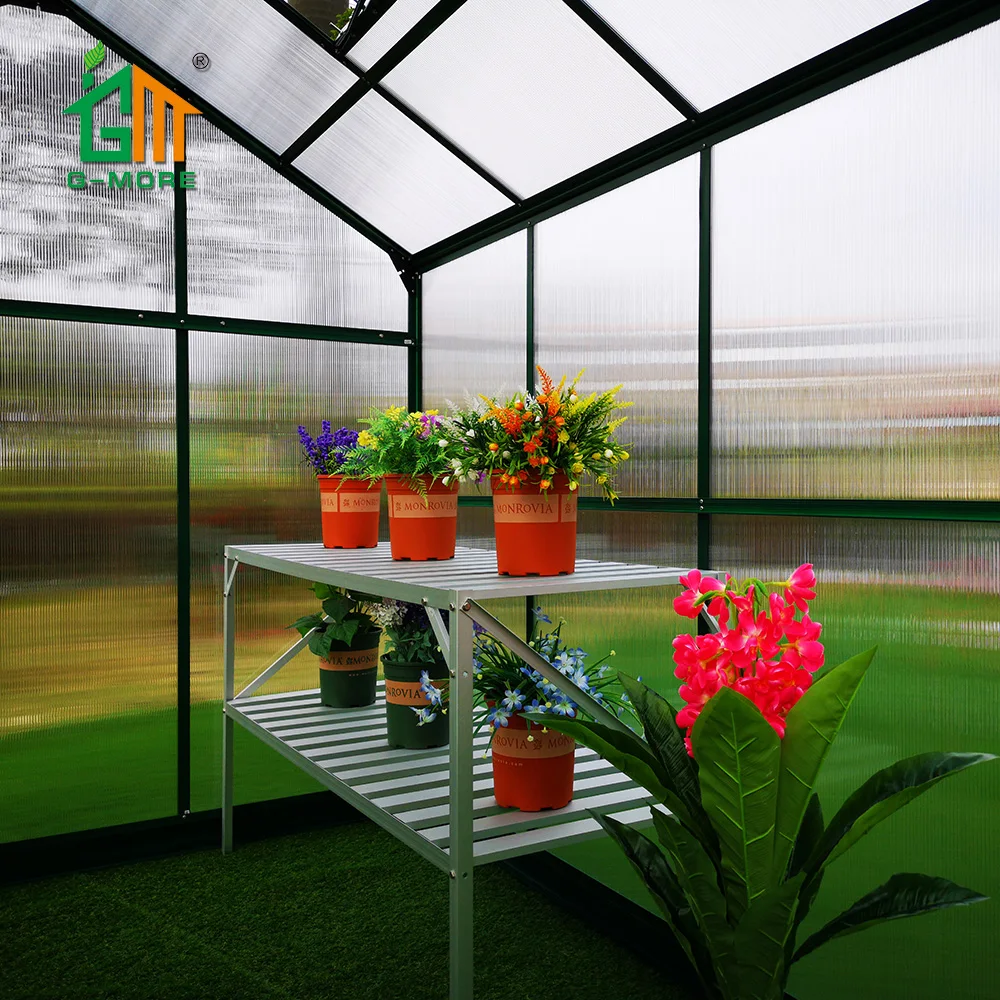 G-MORE Lite Series 8 X 6 FT PC Greenhouse Aluminum Greenhouse