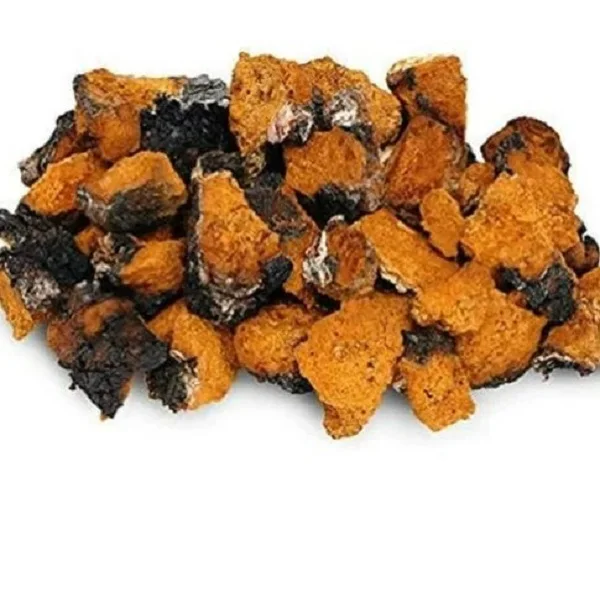 Chaga Mushroom Powder at Low Price