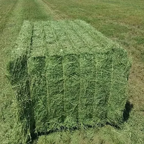 Organic Alfalfa Grass Hay/ Alfalfa Hay Pellets For Animal Feed For Sale