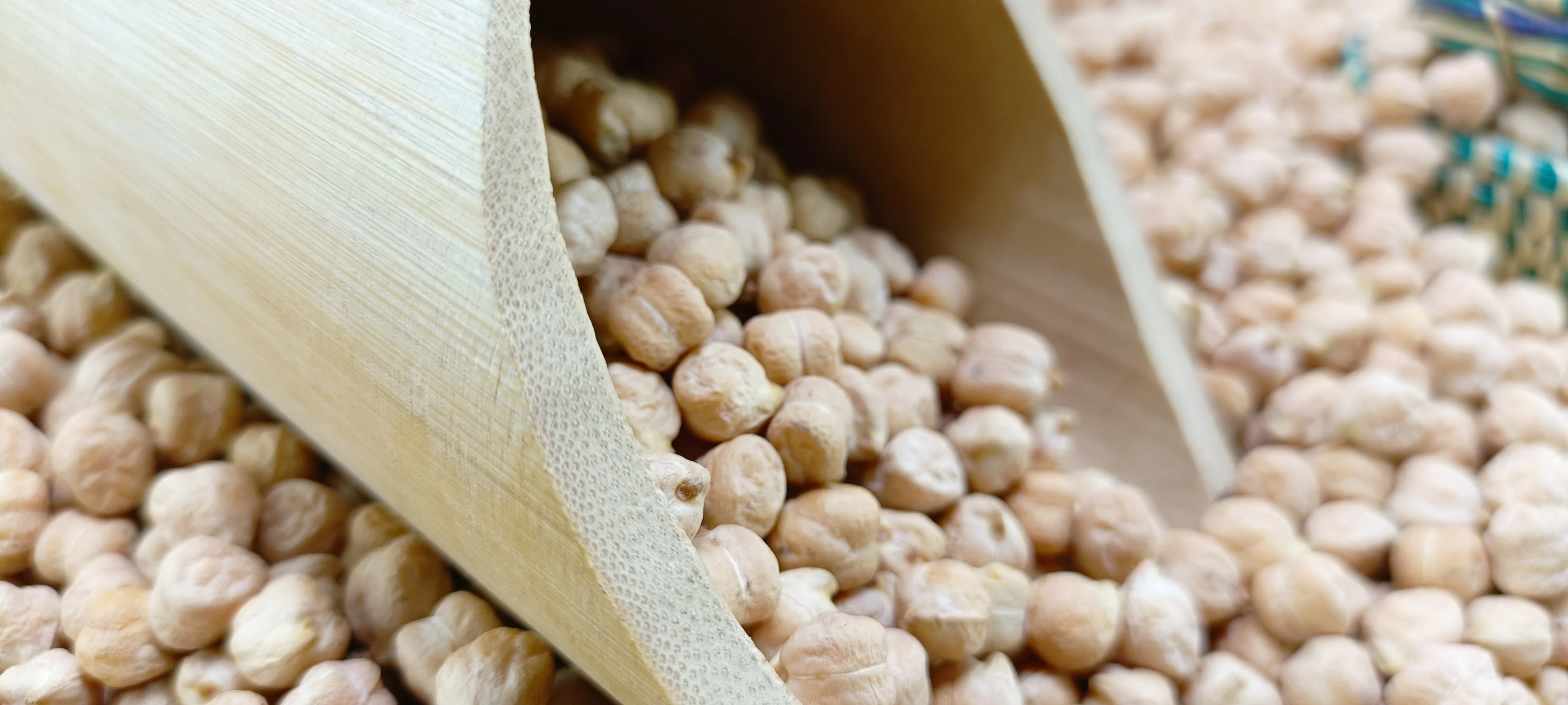 Kabuli Chickpea DP-46