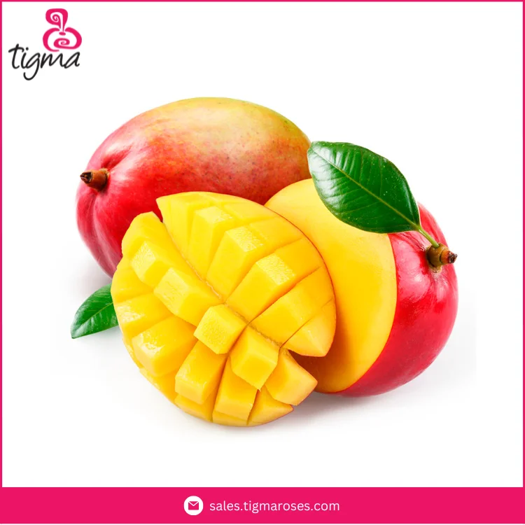 Ecuador Origin Dealer Selling Premium Quality Fresh Kent Mangoes for Wholesale Purchasers