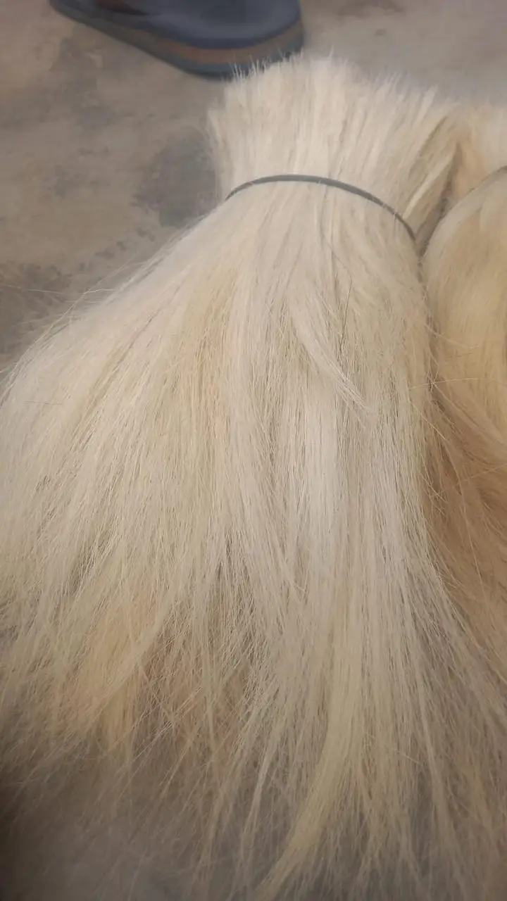 High Quality Goat Hair / Goat Long Hair the Raw Material Natural Goat hair at beast quality