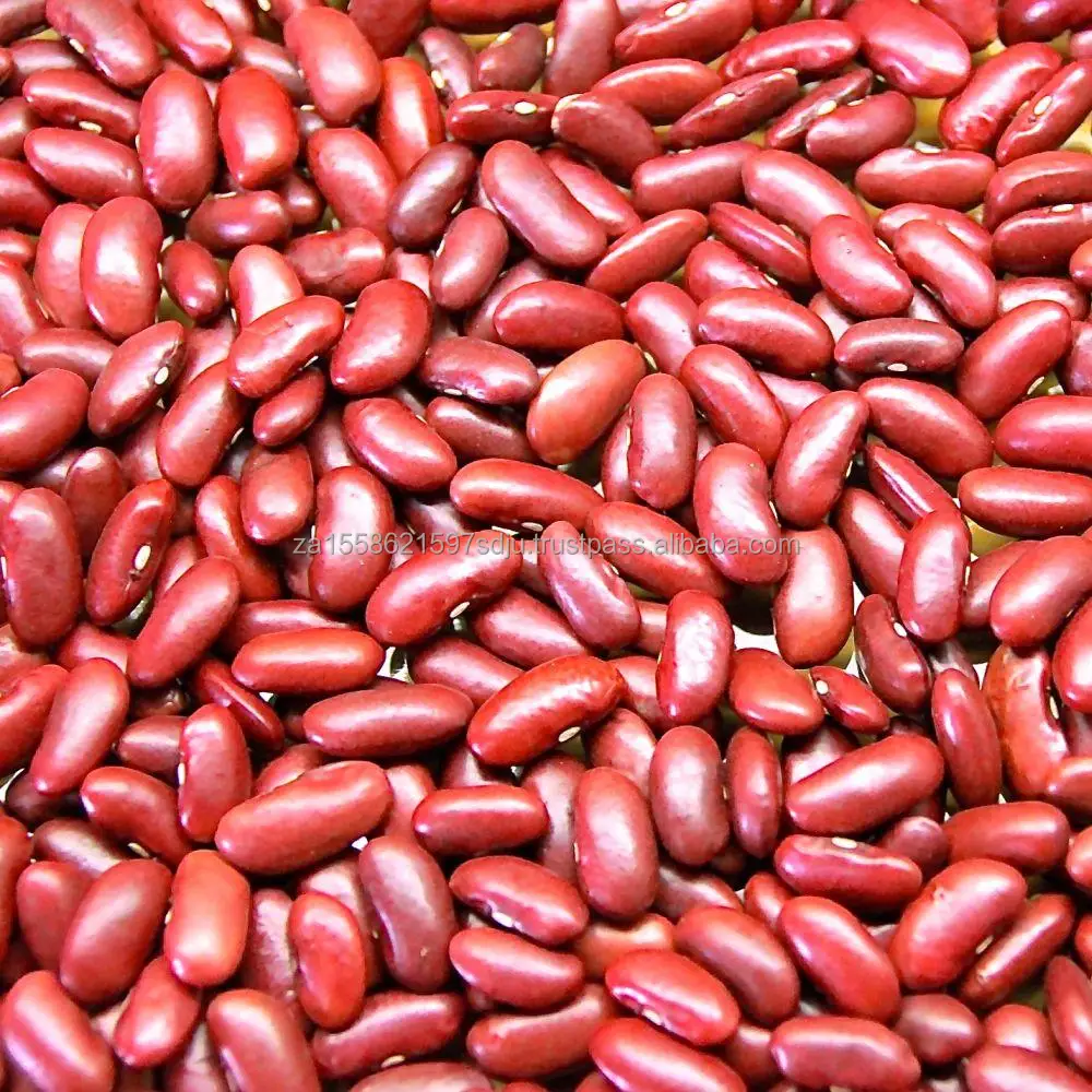 RedKidney-Beans.jpg