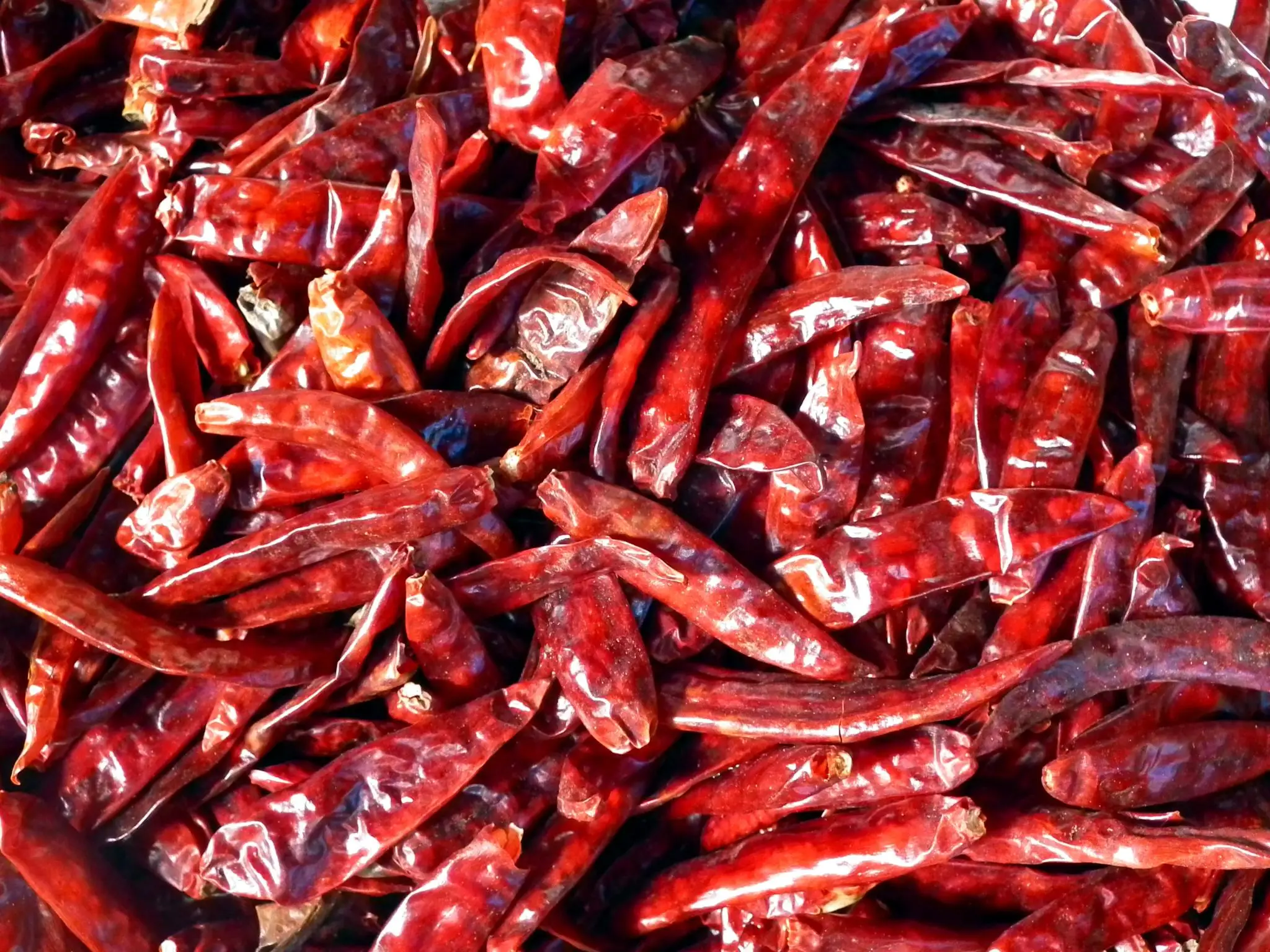 Bulk Purchase Whole Natural Dried Chilli Top Grade Indian Spices & Herbs Products Buy From India at Wholesale
