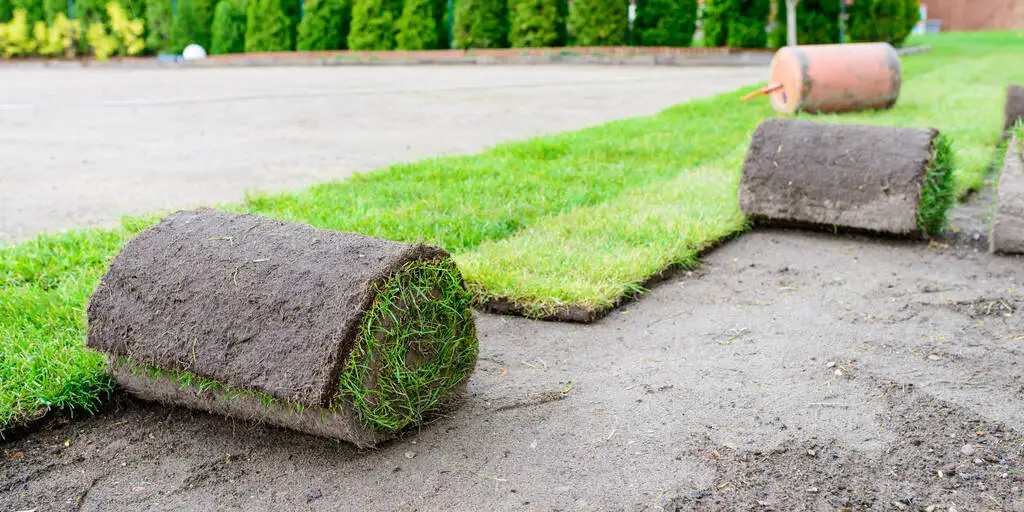 Evergreen Ecograss Turf Grassscape Lawn Grass Truf-Garden Ornament