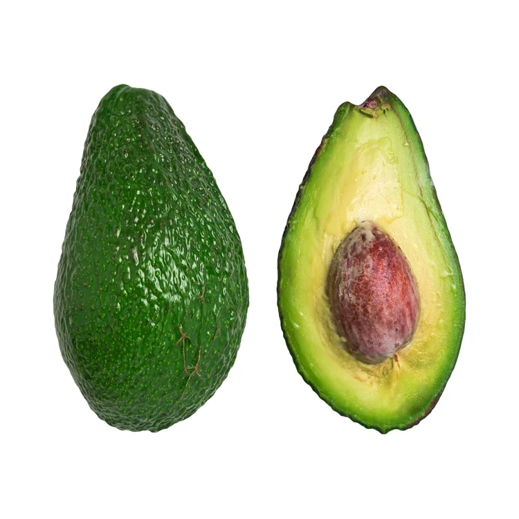 Fresh Avocado For Worldwide Export - Fresh Avocado at Best Price for Wholesaler