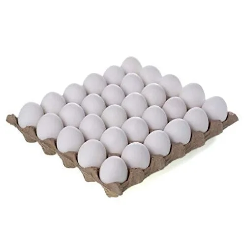 Wholesale Price Supplier Of White Fresh Table Eggs | Chicken Eggs