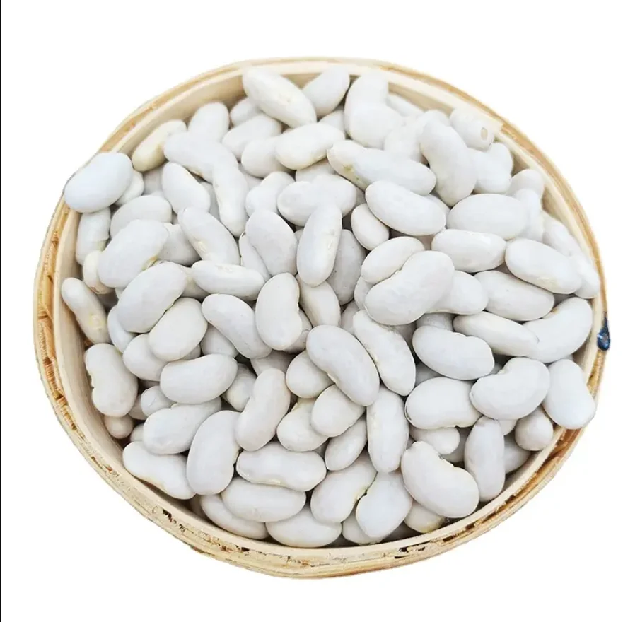 whole sale High Quality Red Kidney Beans 2023 Crops Year