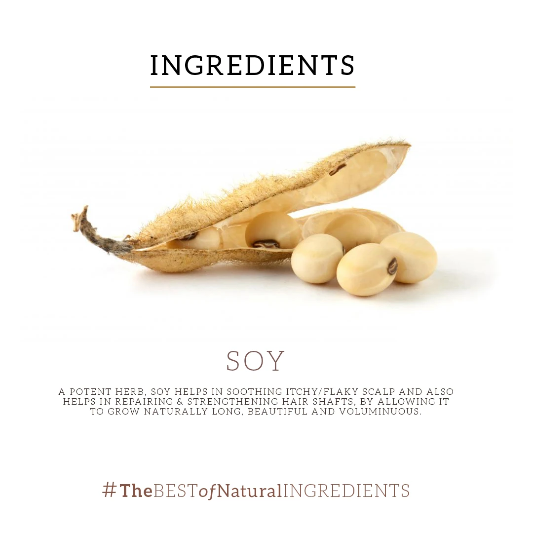 KHADI NATURAL Soy Protein Shampoo-Powered Botanics