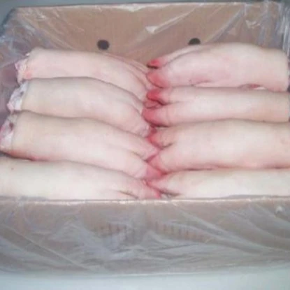 HIGH QUALITY FROZEN PIG PORK MEAT LEAD FEET TROTTER / READY FOR SHIPMENT