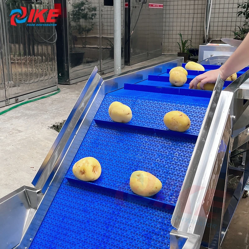 Potato rotary drum washer Root Vegetable Ginger Washing Peeling cutting Machine Line