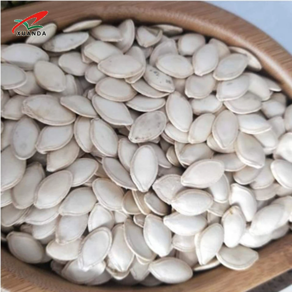 1Ton - 5 Ton Low price Pumpkin Seeds Shine Skin seeds from China Inner Mongolia