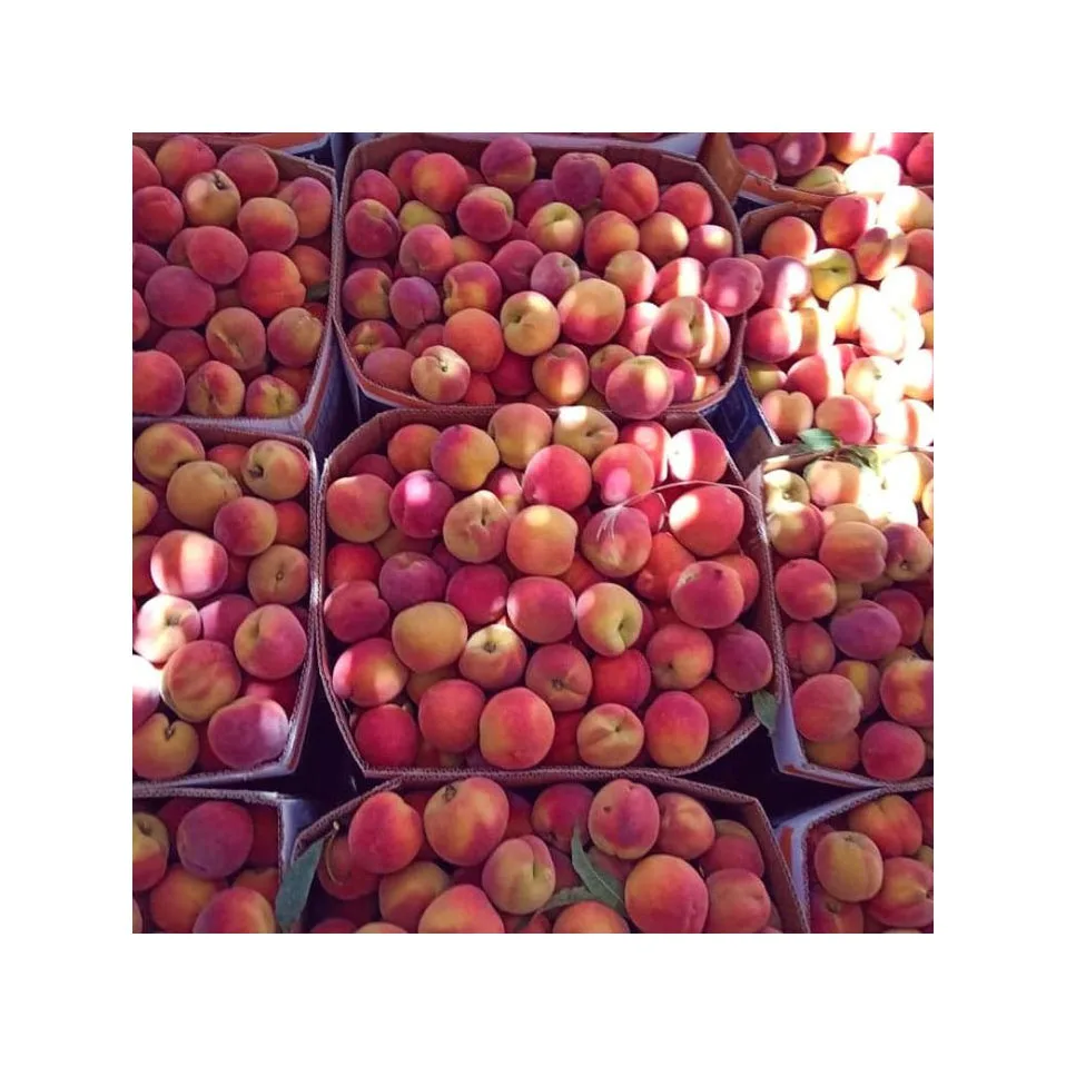 Yellow Peach With Cheap Price Dices Food Fruit Slices Wholesale Fresh Yellow Canned Peaches