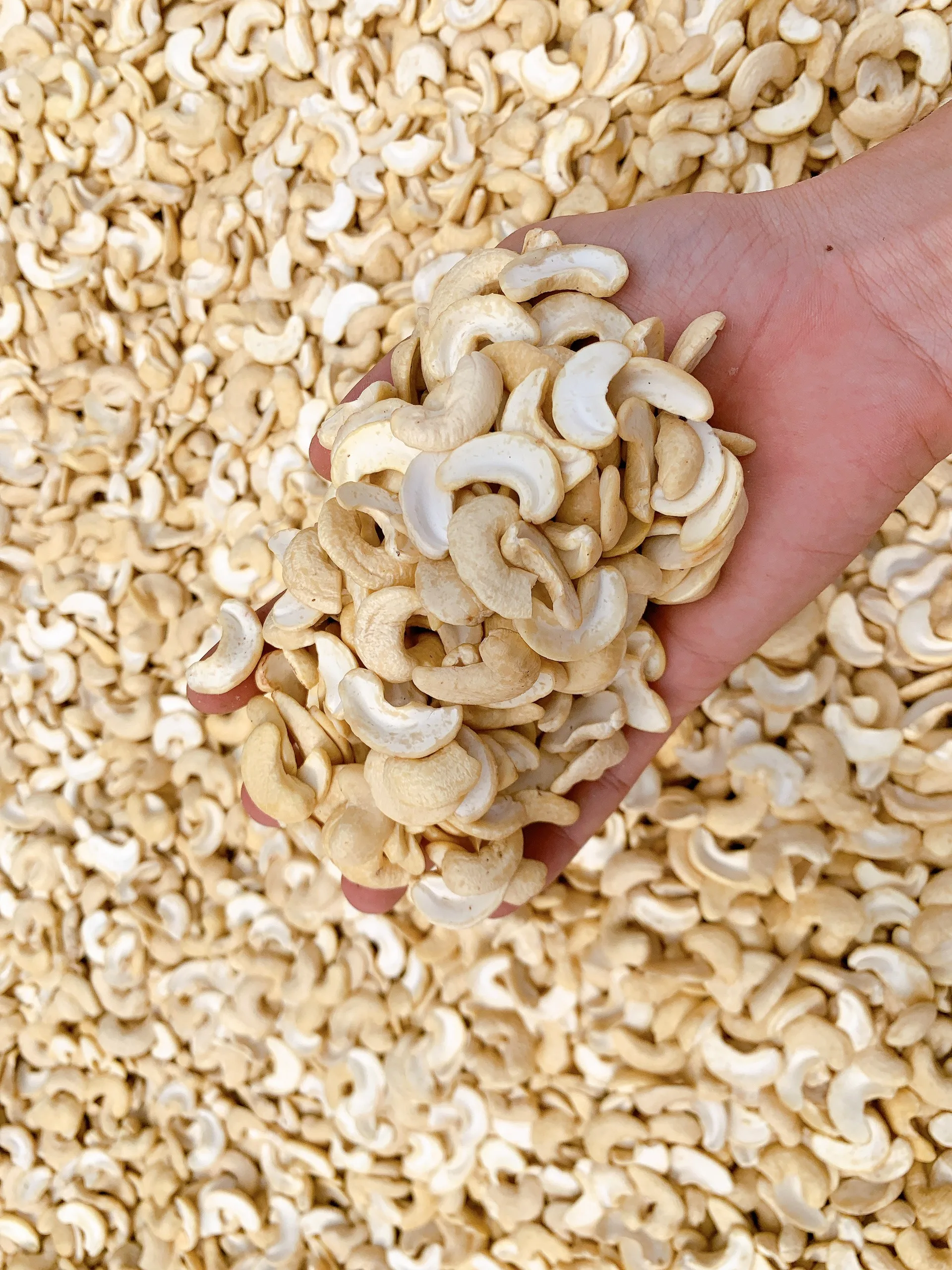 Cashew nuts White splits WS  best price high quality