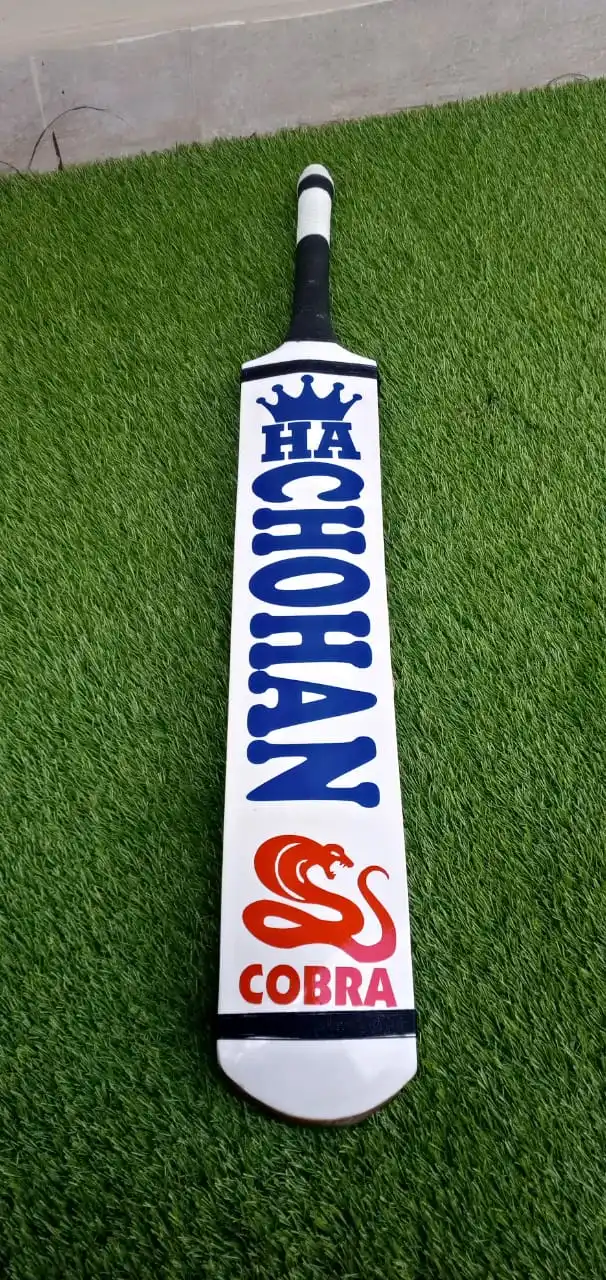 Best Kashmir Willow Cricket Bat