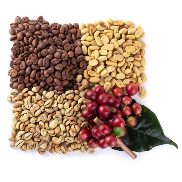 Free Sample Best Price Vietnam Robusta Coffee Green Coffee Bean Robusta Coffee From Vietnam Supplier -  Mr Henry +84 36 859 1192