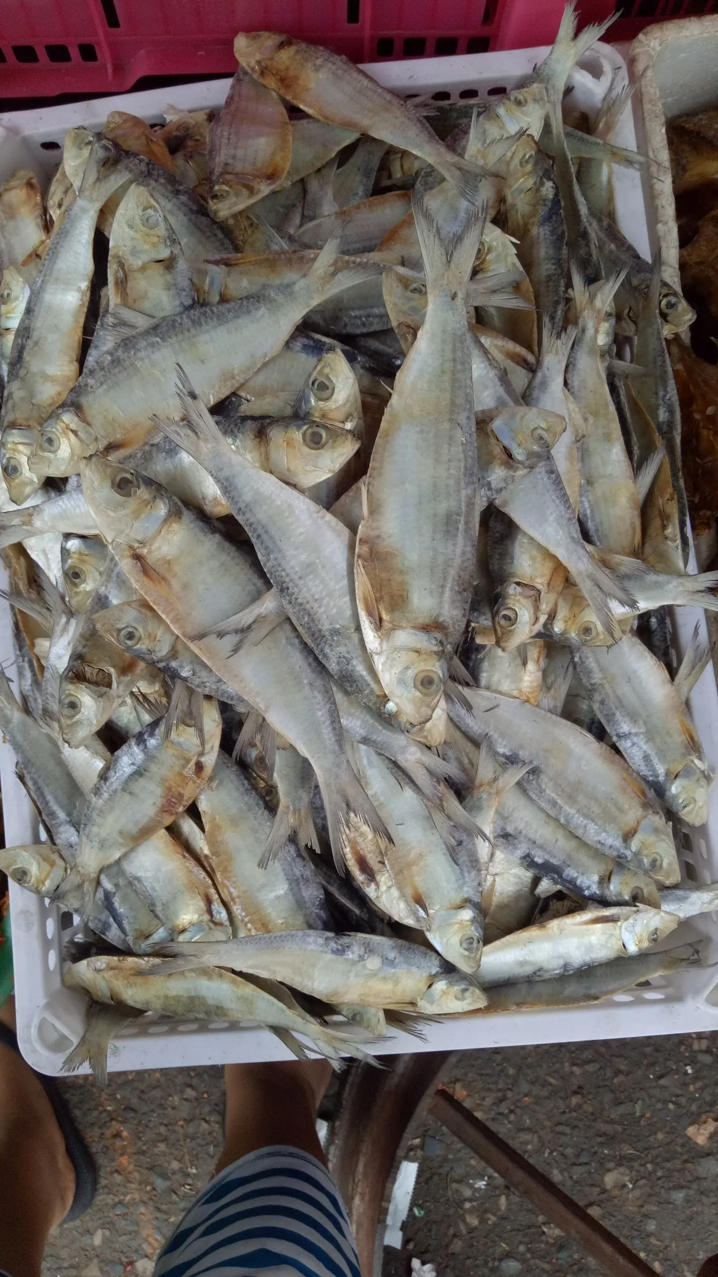 Заводская распродажа копченая сельдь соленая сушеная рыба праздник