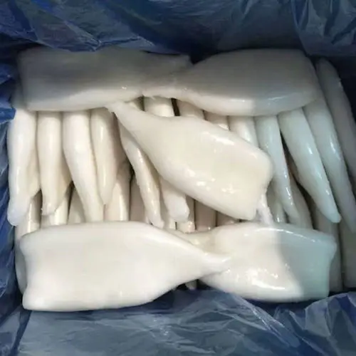 New Arrival High Quality Frozen Seafood Squid Frozen Squid slice