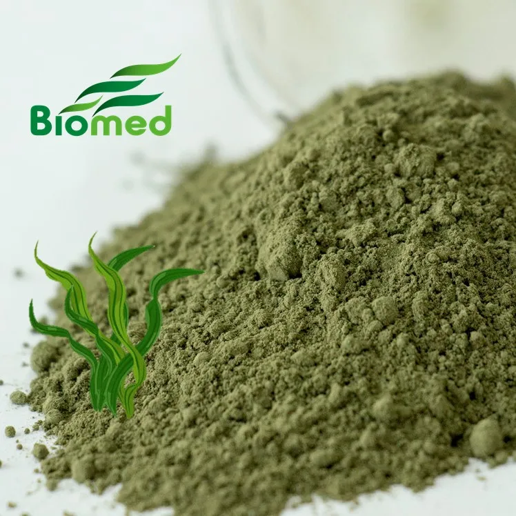 Spirulina Powder Wholesale Bulk Spirulina Powder Protein