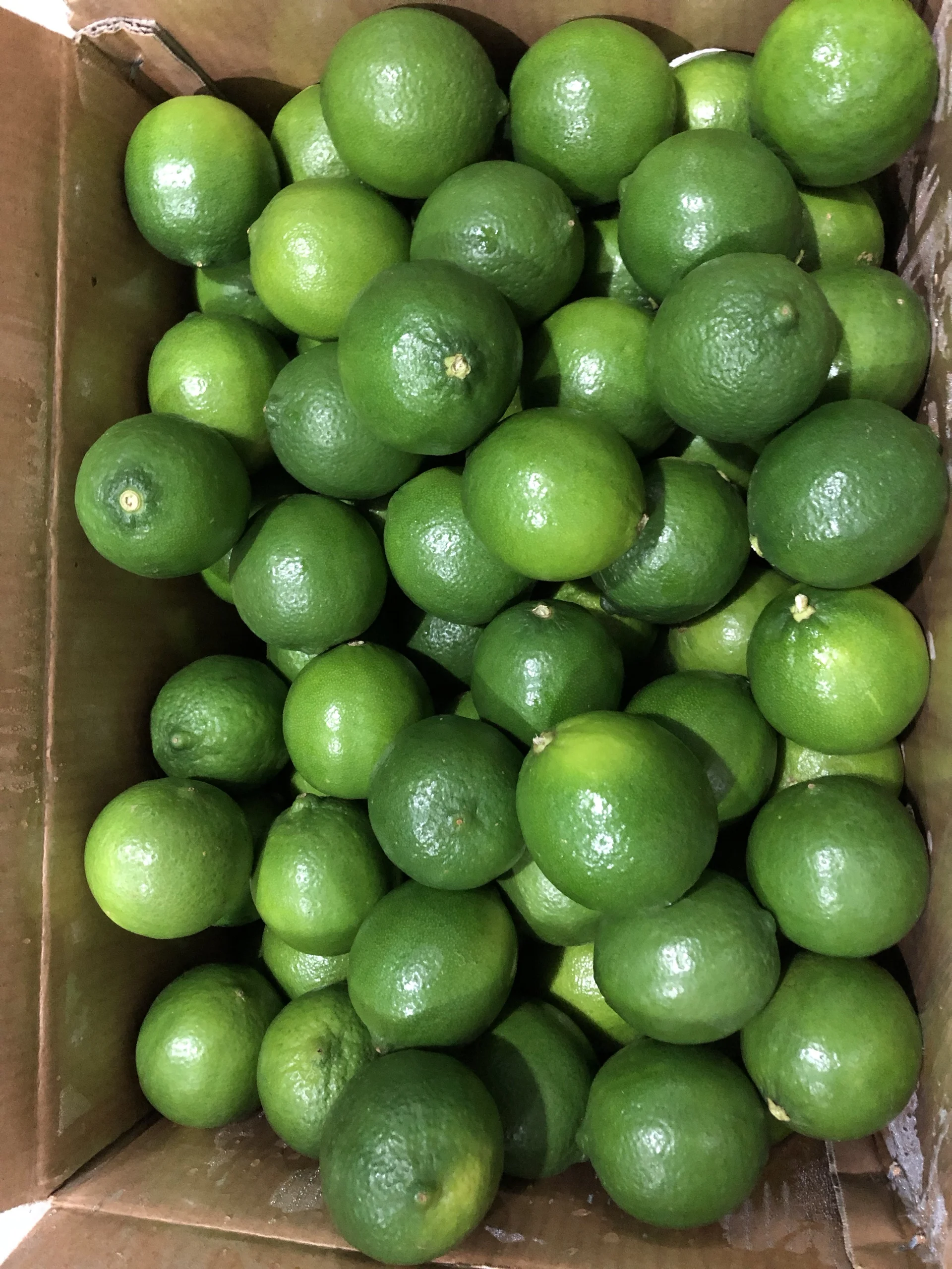 FRESH green LIME  BEST PRICE from Vietnam, call  +84963818434 whatsapp