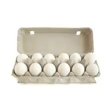 Organic Fresh White Chicken Table Eggs & Fertilized Hatching Eggs Preserved Frozen for Food Use Wholesale Price Including Yolk