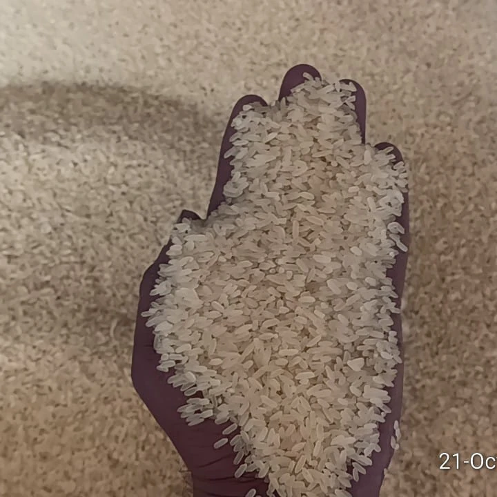 Свежий рис Paraboiled дешевый сломанный IR64 короткозернистый длинный рис Жасмин необработанный мягкий твердый Обычная текстура органический индия