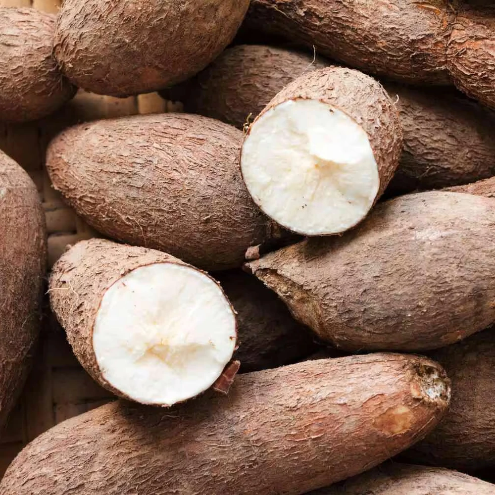 AUTHENTIC VIETNAMESE FROZEN TAPIOCA CASSAVA - NATURAL AND PURE, DIRECT/ BEST TUBER FOR YOU!