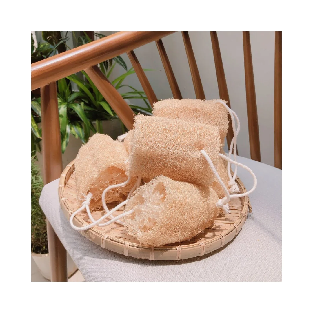 Decorative Eco-friendly Lufa Sponge Loofah with Small Shape Free Bath 99GD