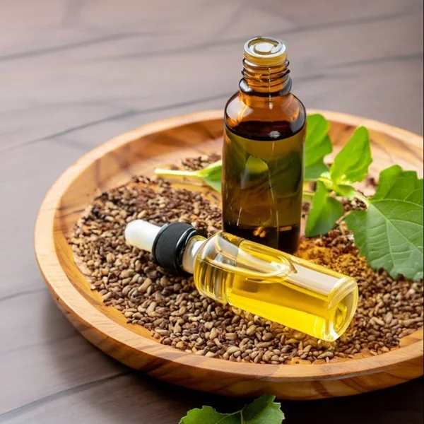 Basil Essential Oil Wild-Cultivated Herbal Extract in Liquid Form Packed in Plastic Glass or Bottle with Seed Part Used