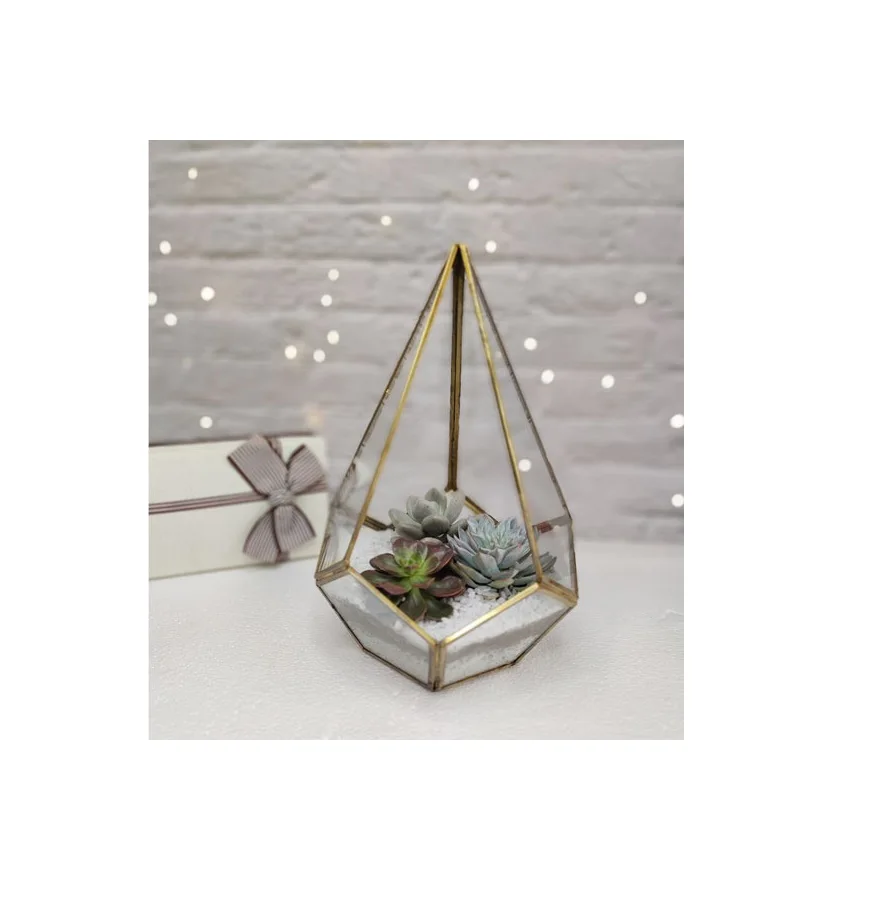 Industrial Design Simple Square Glass Vase Hydroponic Indoor Succulent Green Plant Pot Home Use Planting Basin